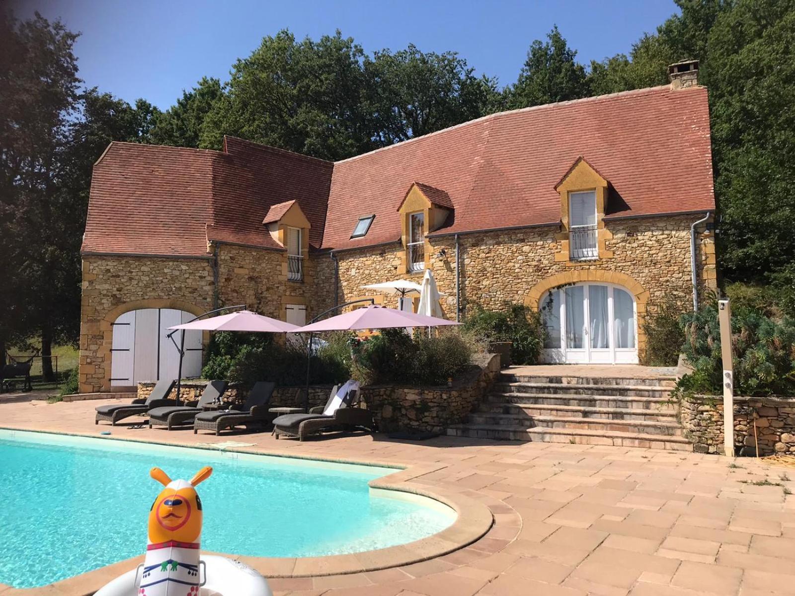 Luxury Chateau W. Pool & Hot Tub In Dordogne Beynac-et-Cazenac Esterno foto